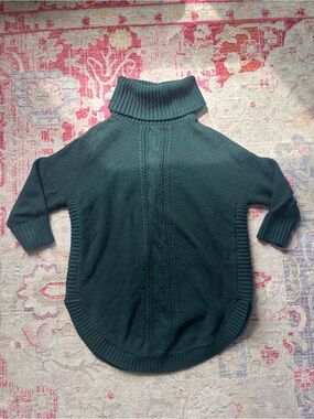 Express chunky turtleneck sweater